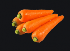 胡萝卜和什么相克 胡萝卜生吃和熟吃哪个更好