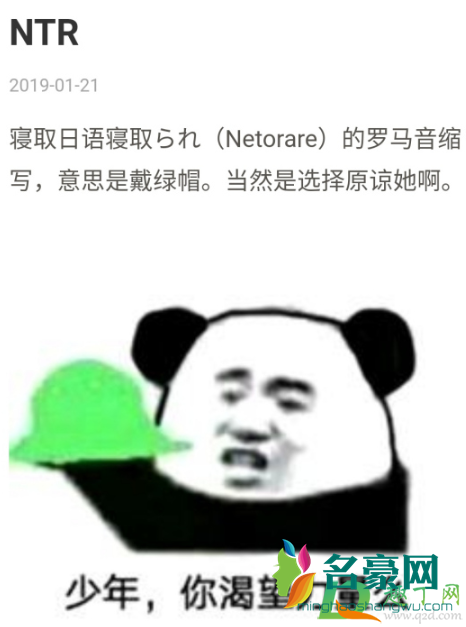 ntr是什么意思梗