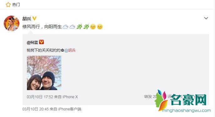 柯蓝发文