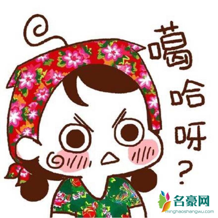 篮子是什么意思 网络用语篮子是什么梗 篮子是一句东北的骂人的话也 