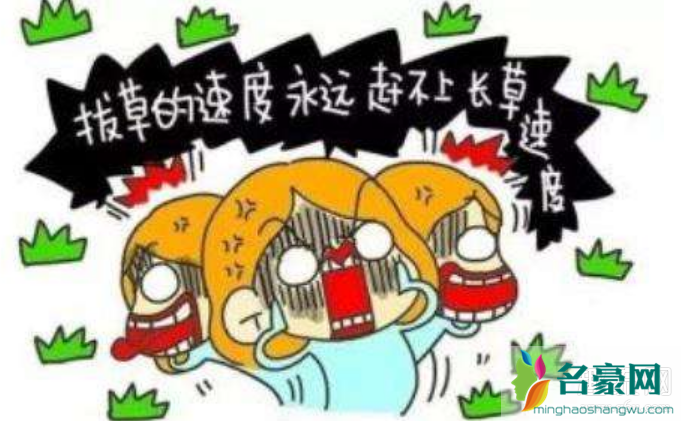 种草和安利的意思是一样的,即指把一样事物分享推荐给另一个人,让另一