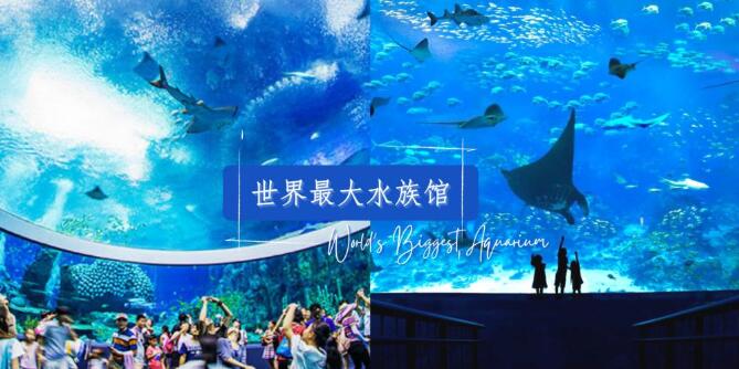 世界上最大的水族馆介绍！让你见识一下水中美丽的神秘世界吧！