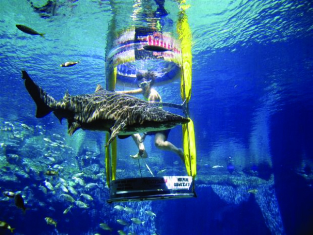 //img.minghaoshangwu.com/allimg/201102/1U043O06-7.jpg