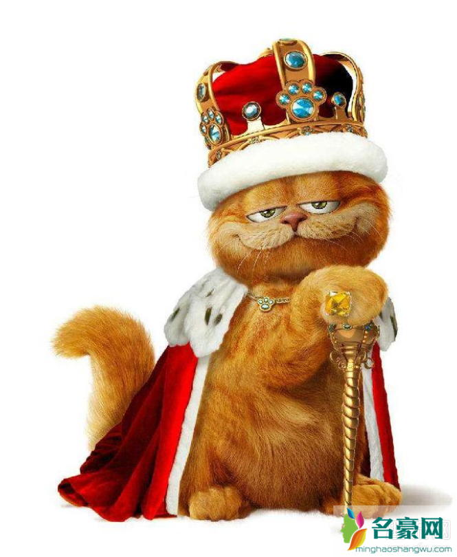 加菲猫是哪个国家的动漫 加菲猫是什么品种的猫