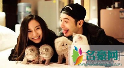 黄晓明到底有什么势力 背景再强大怎么了犯法照样抓