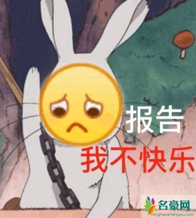 飞机呼呼呼表情包斗图 万能的表情包推荐