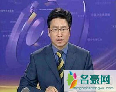 白岩松被开除党籍了吗 白岩松为何被开除党籍+真正原因