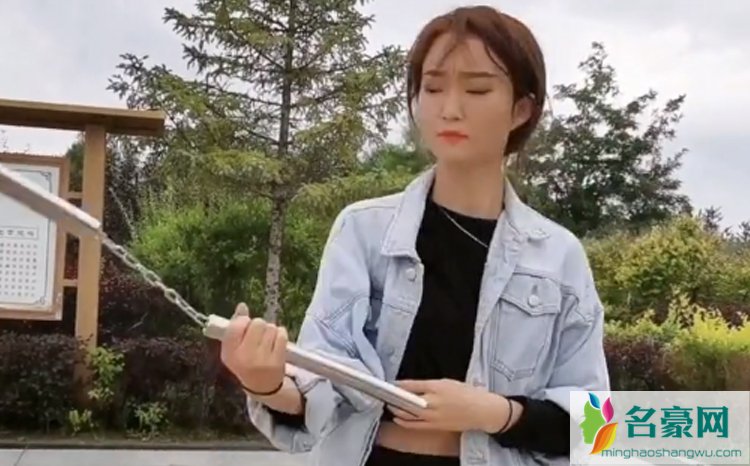 盘龙小燕子