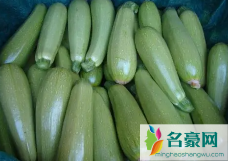 为什么西葫芦也能压蔓生产 养植西葫芦要注意什么