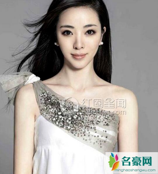 中国最美的女主持人