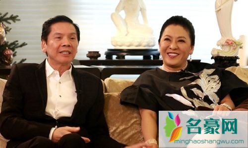 向华强老婆陈岚面相 向华强的妻子陈岚简历