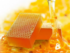 蜂蜜的烹饪方法 蜂蜜可以化痰清热