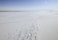 南极发现29公里长冰川裂缝