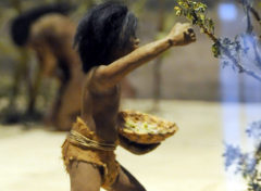 图迈是最早的人类吗 最早有人类出现的国家