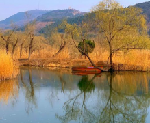 北京免费湿地公园十一打卡地 人少景美空气也新鲜