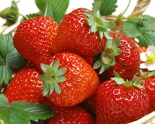 草莓怎么洗好 草莓的清洗方法