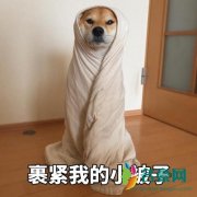 北京开始娘了是什么梗什么意思 北京开始娘了出处在哪