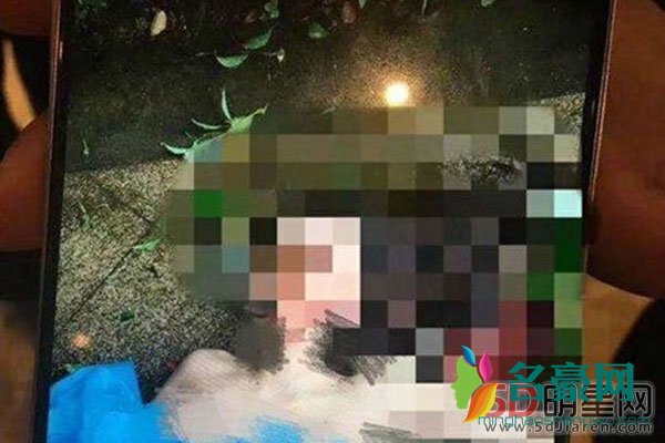 任娇死亡原因 被高层男女通吃不堪羞辱