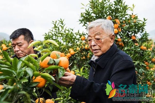 褚时健谁保的 多少年的人脉也是褚老积累下来的