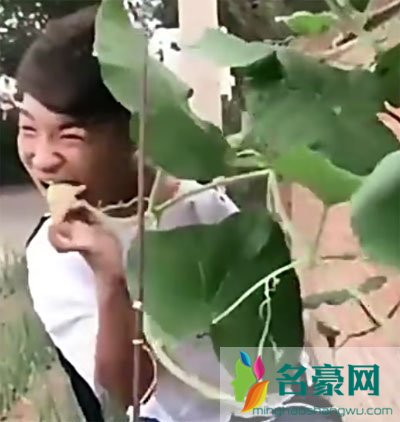 社会你胜哥手怎么断的 这小子是不是把自己胳膊吃了？