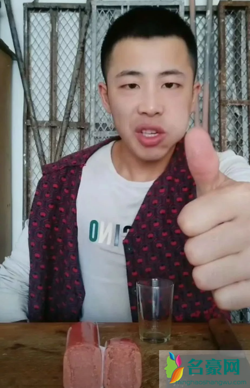 新二的快乐生活你们觉得怎么样