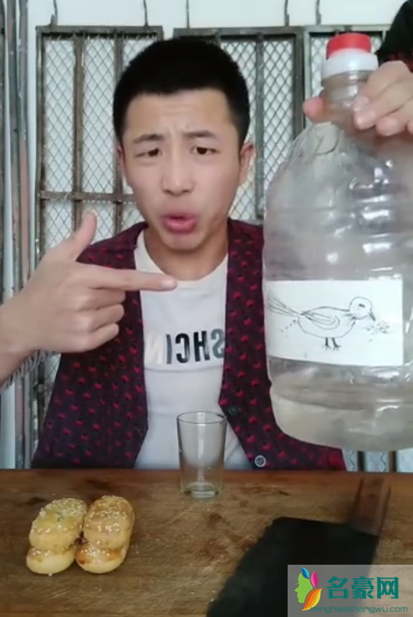 新二的快乐生活你们觉得怎么样