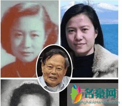 为什么说翁帆是特工 希望杨振宁能活过150岁让这份爱天长地久