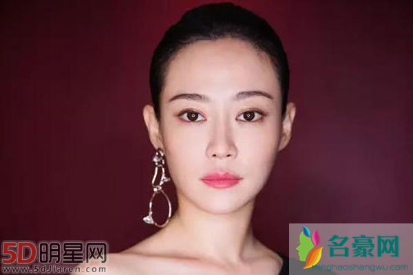 我不是药神女主角谭卓是不是高贵妃 电视剧里面没发现高贵妃居然这么美