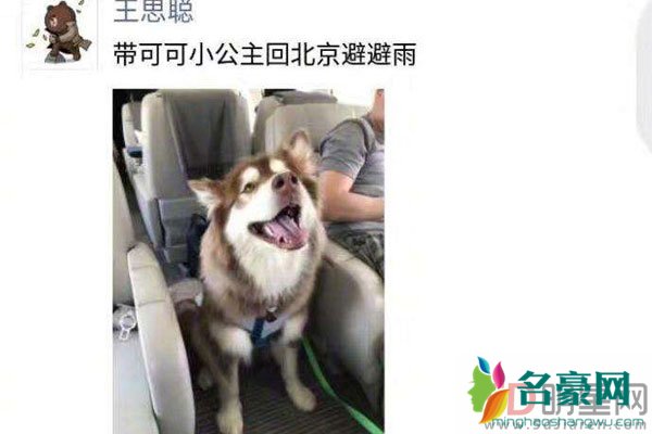 瓜瓜为什么打王思聪 打他那小伙子应该够吹一辈子牛逼