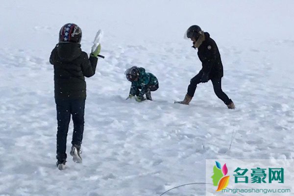 柏雪发的微博好诡异 柏雪五条腿的照片是怎么回事