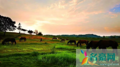 木兰草原白天好玩还是晚上 去木兰草原适合穿什么