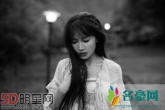 《中餐厅2》的主厨是谁 古风加美食主播会是李子柒吗