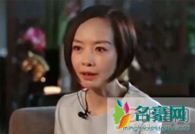 鲁豫王健林有一腿有染吗 鲁豫为什么那么牛谁都能采访