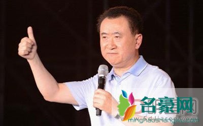 鲁豫王健林有一腿有染吗 鲁豫为什么那么牛谁都能采访