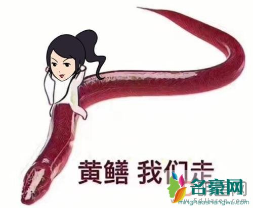 美女主播用黄鳝打破底线 黄鳝门21分钟40秒事件完整版在哪里看网盘还有吗