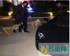 澳洲土豪把美女当家具当宠物 澳洲土豪每天睡5个女人真假