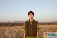 刘昊然做公益与大象亲密接触 刘昊然伫立微笑令人倾心