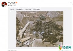 吴亦凡终于剪头发 粉丝集体在线要求他发自拍照