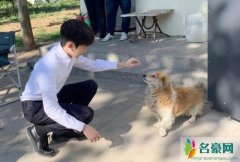 王源路边逗狗 王源半蹲逗趣小狗爱心爆棚