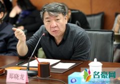 郑晓龙不敢用流量明星 却为什么对朱一龙赞不绝口？