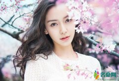 杨颖借腹生子是事实吗 黄晓明承认借腹生子是真的吗