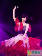 李亚鹏怎么追到王菲的 两人结婚当初就没被看好