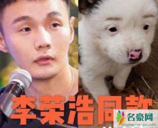 1元售卖李荣浩同款狗狗 李荣浩：为什么卖那么便宜？