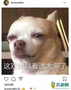 金晨疑回应分手怎么回事 金晨与董又霖分手原因是什么