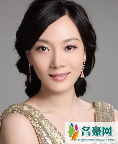 柳云龙前妻陈数是丁克吗 女性中很了不起的女强人