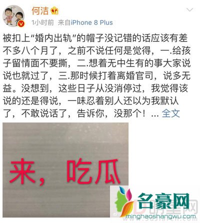 何洁否认婚内出轨 用了半年时间公关公司终于弄出了一个借口试试效果吧