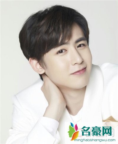 尼坤为什么没颜值了 尼坤现在也不像当年那么帅了