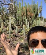 邓超疯狂与仙人掌合影 邓超：已经在这自拍半个小时了