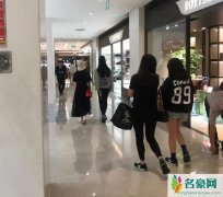 偶遇刘亦菲舒畅逛街 两位神仙友谊网友直呼羡慕