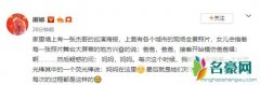 谢娜晒双胞胎日常 网友：甜甜的日常太爱了